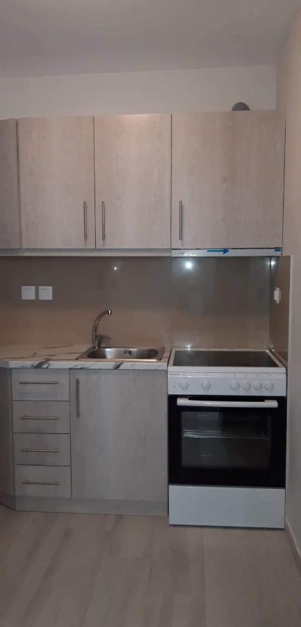 Nikiana Family Apartment Kültér fotó