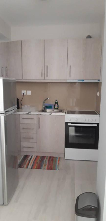 Nikiana Family Apartment Kültér fotó